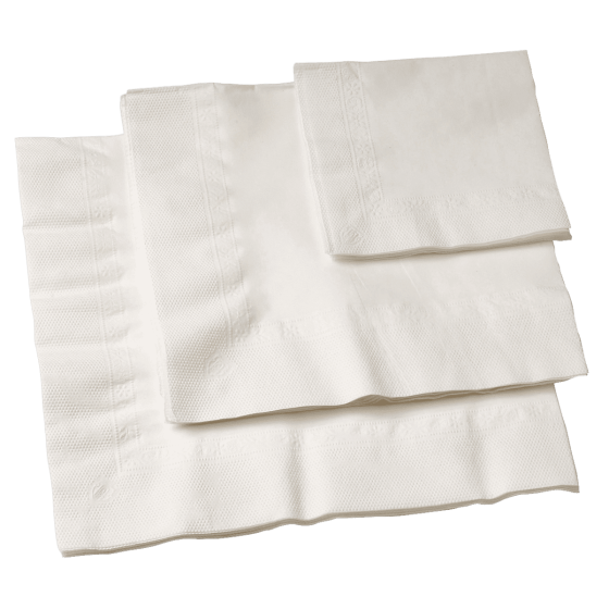 Serviette blanche Eco 2 plis 300x300 mm