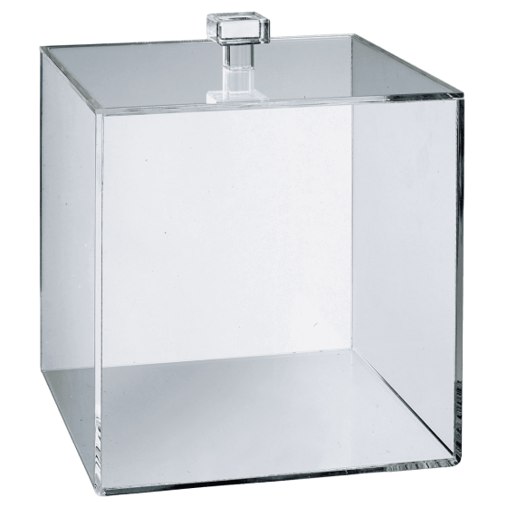 Cube PMMA 250x250 mm avec couvercle