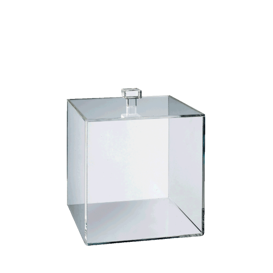 Cube PMMA 100x100 mm avec couvercle