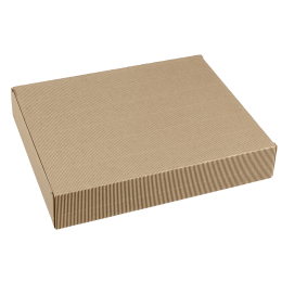 Coffret Polaris kraft 360x290x63 mm