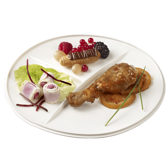 Assiette 3 étoiles PS Ø264 mm pour Coupole Ø260 mm Assiette 3 étoiles PS Ø264 mm pour Coupole Ø260 mm