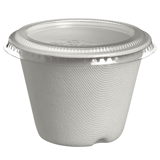 Pot Bodega pulpe de canne avec lamination 240 ml Pot Bodega pulpe de canne avec lamination 240 ml