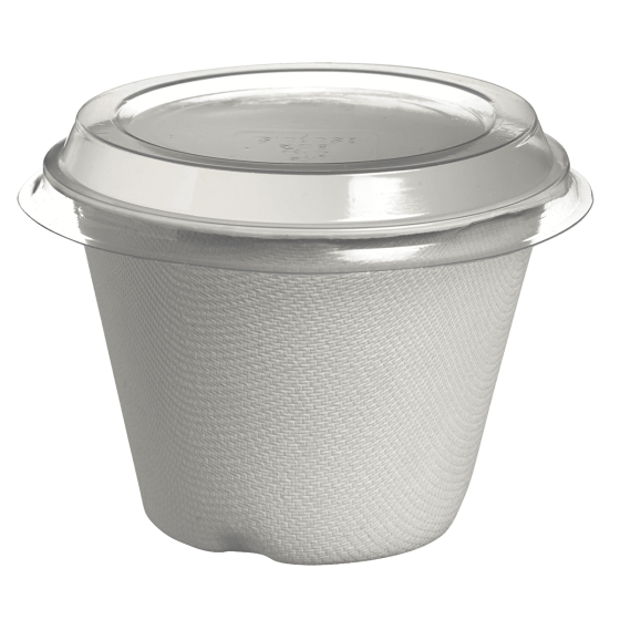 Pot Bodega pulpe de canne avec lamination 240 ml Pot Bodega pulpe de canne avec lamination 240 ml