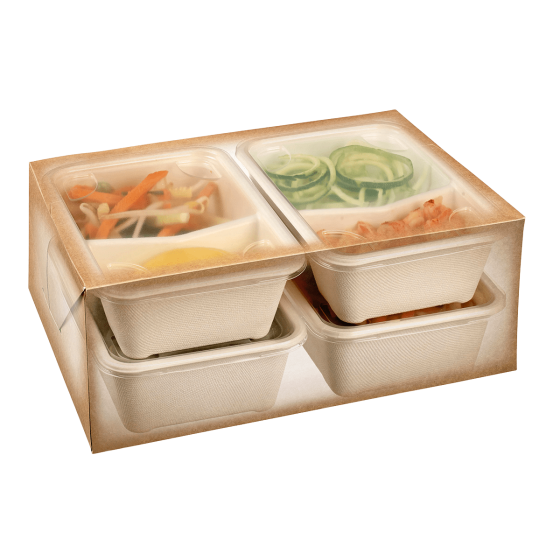 Scatola Postal Lunch da 260 x 205 x 113 mm