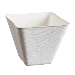 Ciotolina Emeraude in polpa di canna da 220 ml