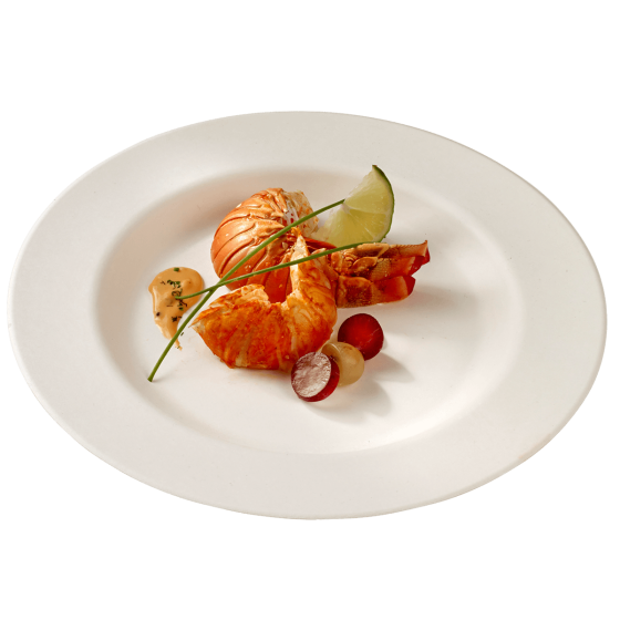 Assiette pulpe de canne premium Ø270 mm
