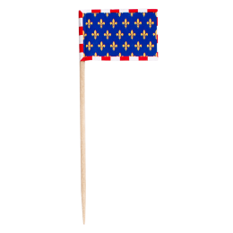 Pique drapeau Touraine