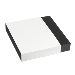 Plateau Surface (Atlas 2/3) 265x247x42 mm