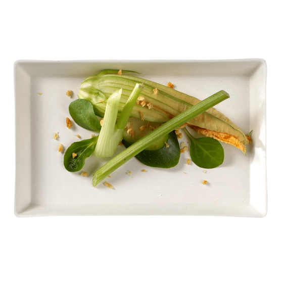 Piatto Quartz in polpa di canna da 160 x 100 mm