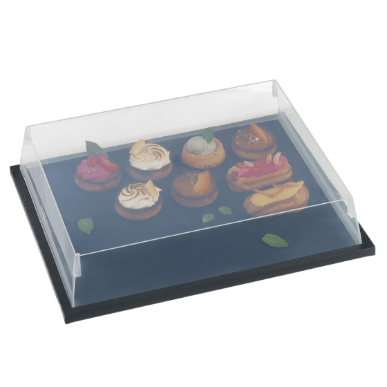 Vassoio Ambasciatore PP da 325x265 mm (1/2 GN)